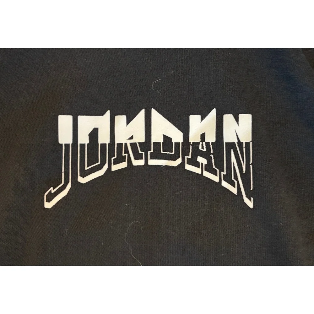 Jordan Mens Dri-FIT Hoodie Black Gravitys Worst Nightmare Graphic Pullover Large